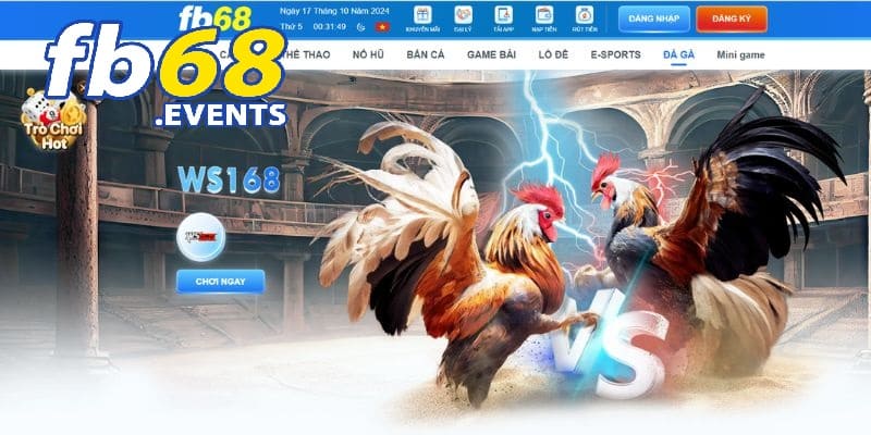 TRANG CHỦ 31 Đá gà là game đem lại những trận đấu đầy kịch tính và lôi cuốn